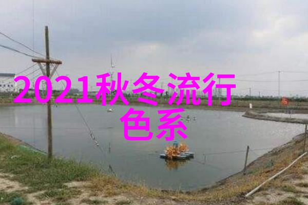 吊兰叶子全发黄了老花农只用了1小招让吊兰油绿爆盆长成瀑布