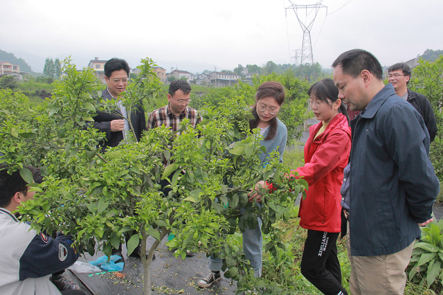 从基础到精通如何通过美发师课堂视频快速学习新技术