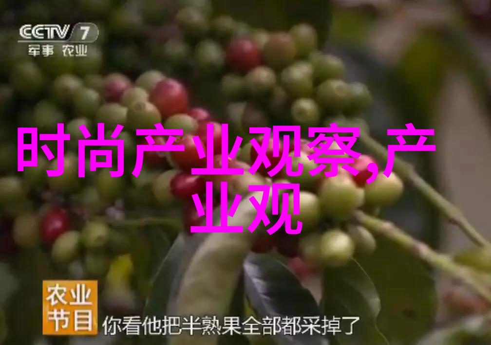 雷德利斯科特拿破仑震撼加冕新剧照揭示欧洲大陆的霸主风采