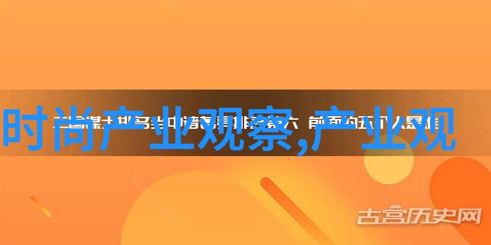 视频教学下如何正确使用理发器进行吹风烫