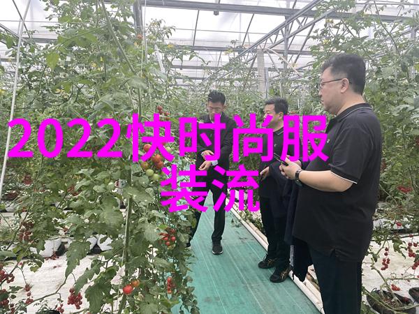 明星街拍风云录海报网上的名人时尚瞬间