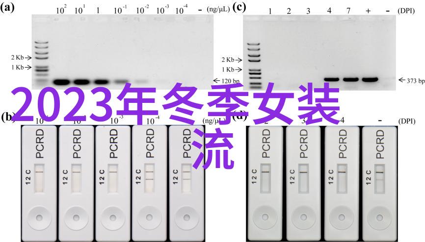 2021冬季时尚色彩暖阳红冰川蓝的盛宴