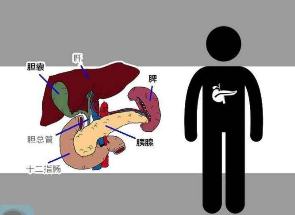 买房入门如何在249美元预算内找到理想的首次置业机会