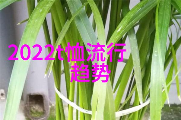 初雪影院王小帅新作旅馆等三部影片入围多伦多电影节