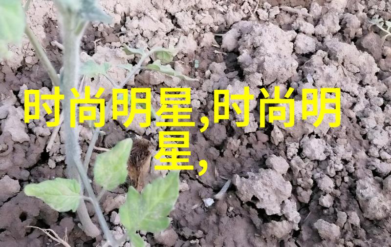 跨界融合383方案如何重塑未来城市规划