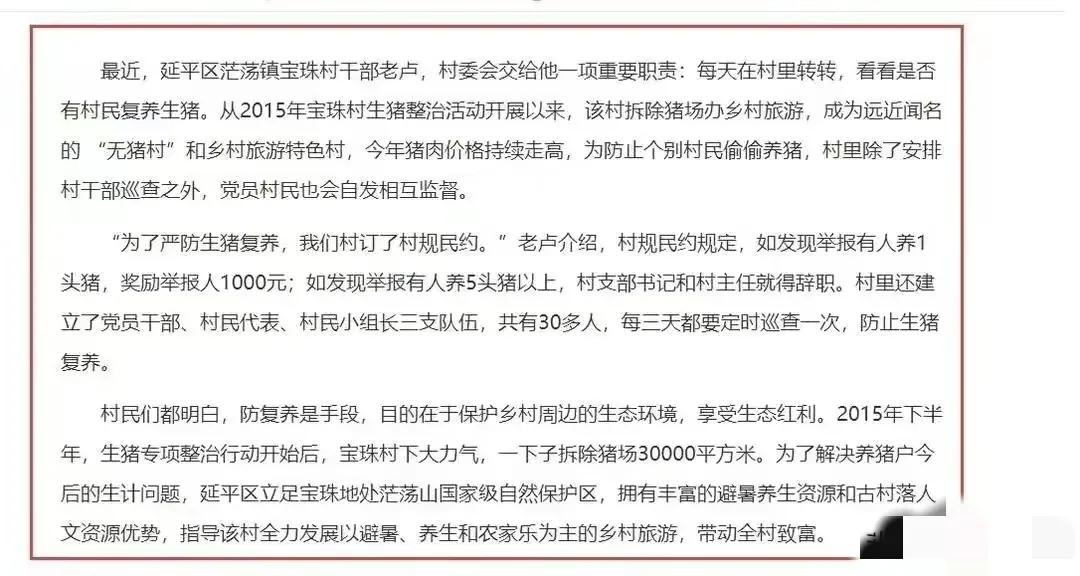 这一季流行趋势我是怎么发现自己被这些小物件卷走的