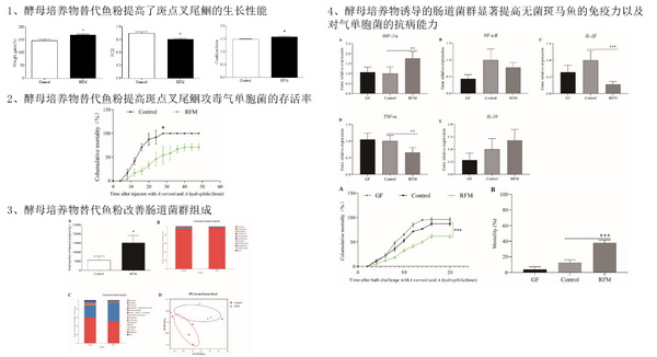 运动休闲风潮席卷全球运动装搭配技巧分享