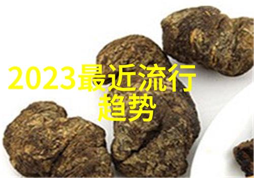 俄罗斯海军新星探索22350型护卫舰的先进技术与战略意义