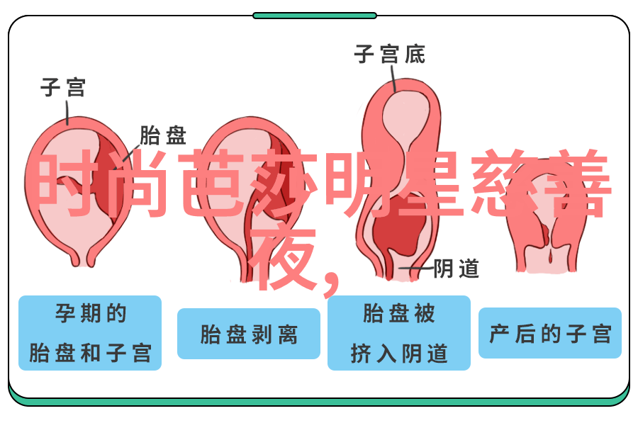 主题我是如何处罚明星同款的