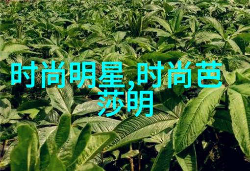 48届金马奖盛典荣耀与激情的交响乐