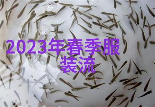 1. 2022年秋冬哪些色彩将成为时尚的主宰