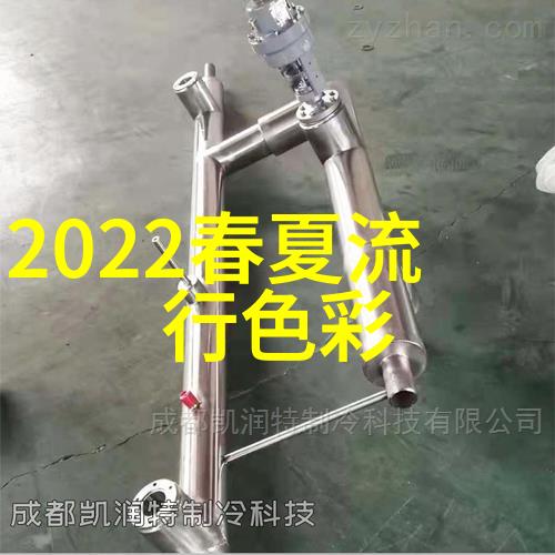 2022年秋冬男装流行趋势-时尚界的新篇章大胆色彩与复古元素的结合