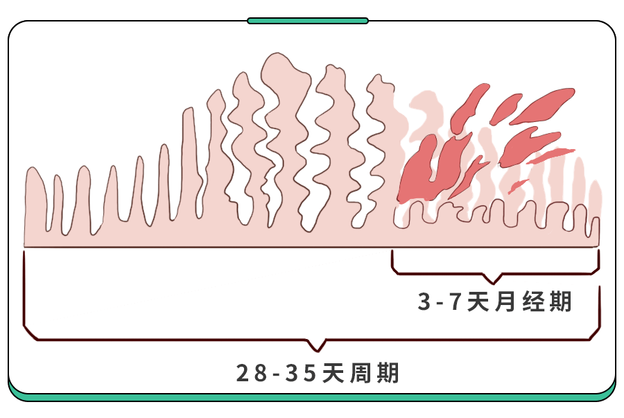 1. 2024服装流行趋势分析哪些色彩将占据时尚中心地位