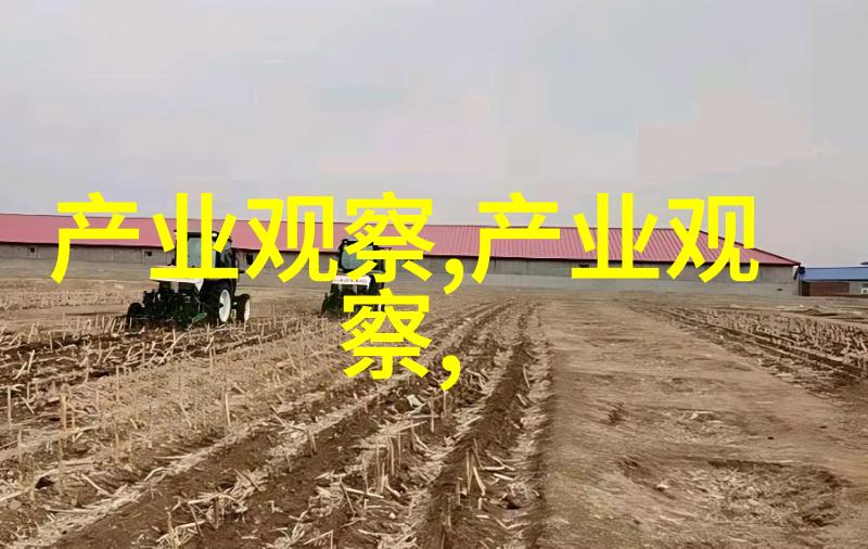 杨洪刚理发初级教程完整视频学习杨洪刚的基础理发技巧