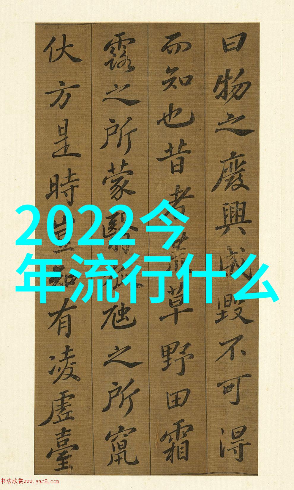 北京理工大学斜刘海风采大放异彩百搭发型设计震撼登场