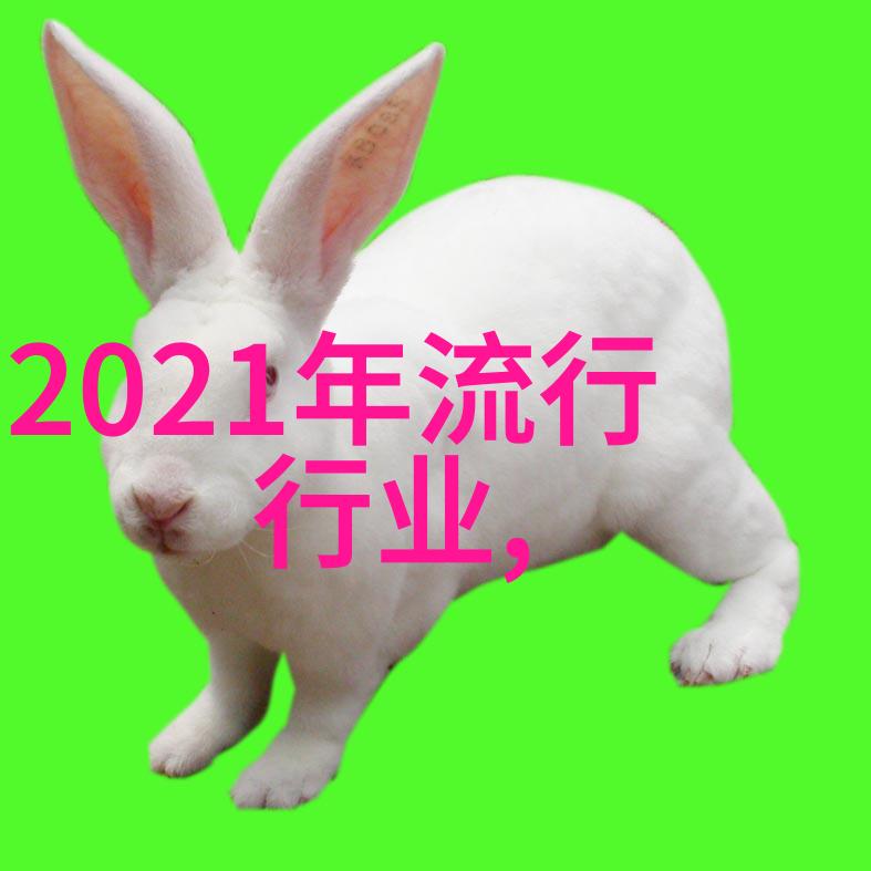 雪花纱裙2022年冬季复古风格女装潮流