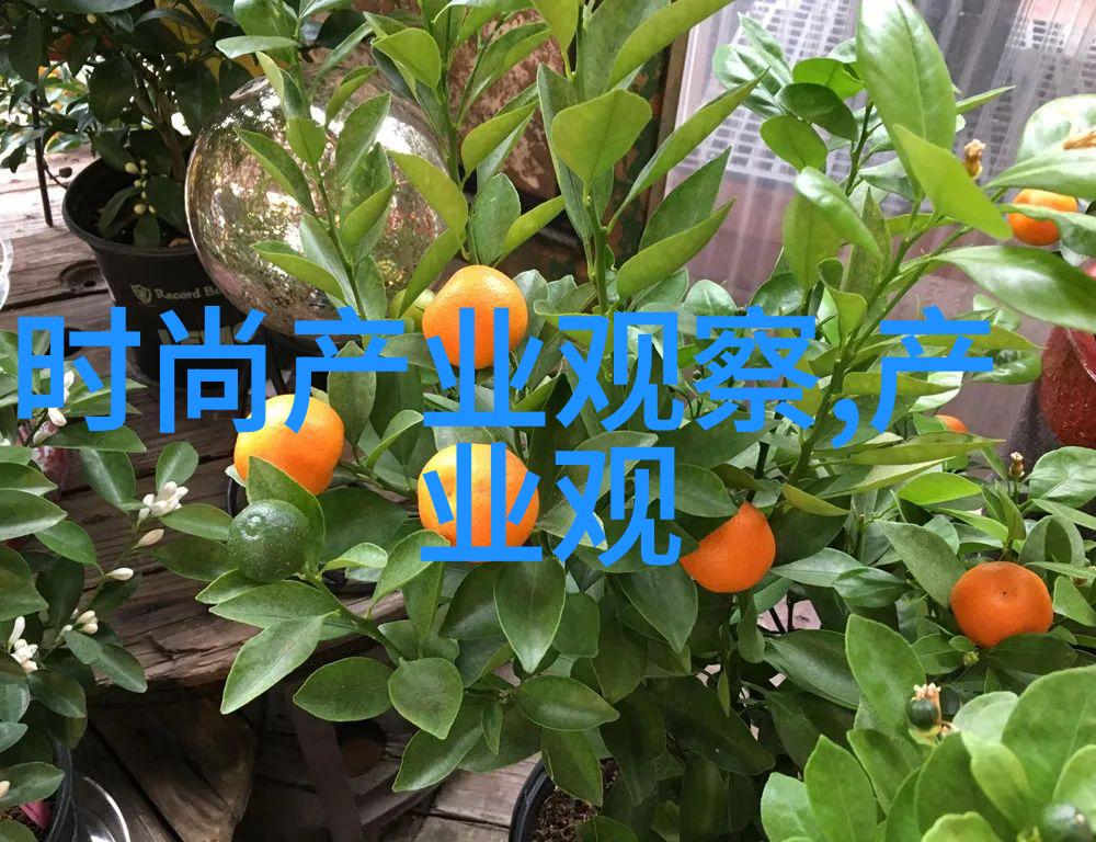 48届金马奖荣耀光芒照耀华语影坛