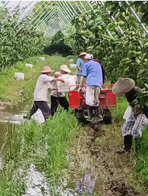 疯狂打开Omega孕囊虚拟现实游戏中的超级能力解锁