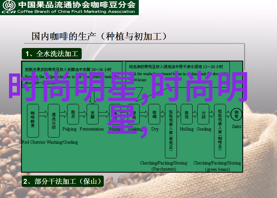 2023年发型流行趋势图-时尚界的新宠揭秘2023年头发造型的未来走向