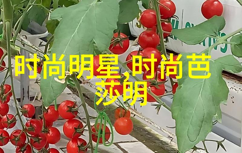 厨艺无限探索火锅之王的烹饪秘诀