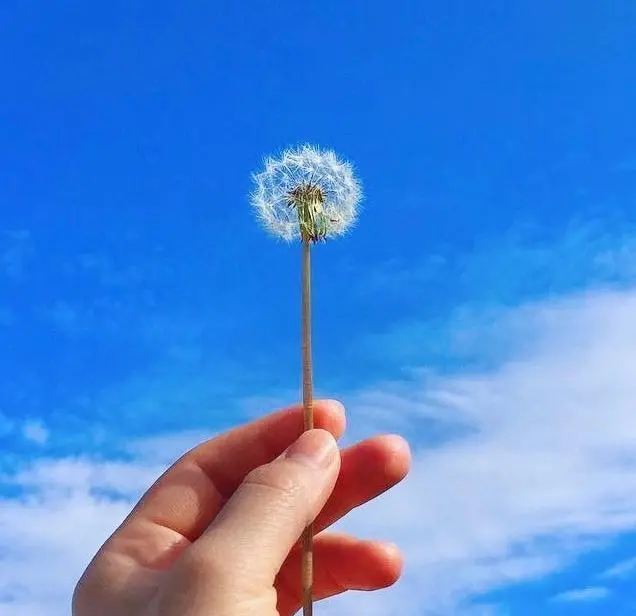 今年流行冬装我都知道了这季节的街头潮流