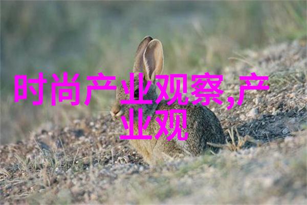 除了浅灰之外还有什么其他暖和且温馨的房间背景墙涂料可以选择吗