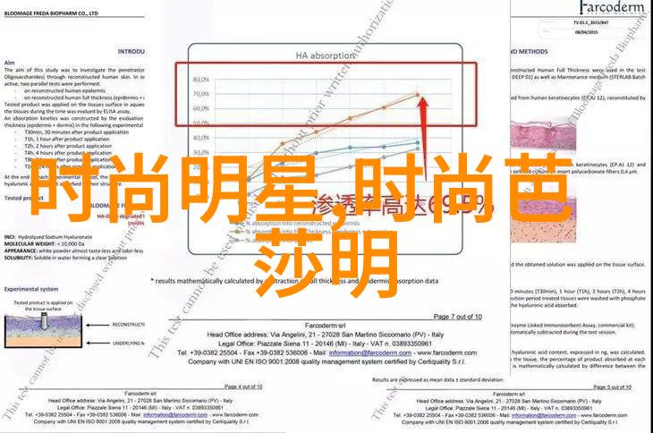 2022年美发盛宴剪刀与梦想交织的艺术篇章