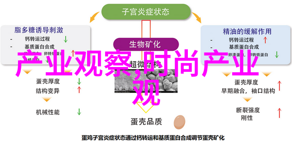 这个年度在内衣和基础层方面有什么特别推荐