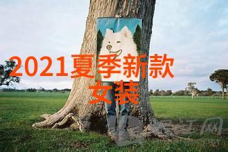 春夏时尚风潮2022年流行服装款式展现