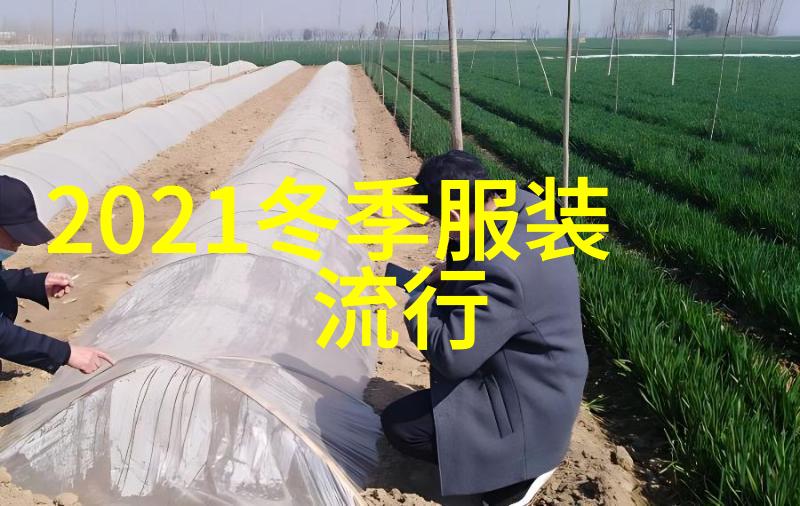 欧洲与美洲在2021年的街头生活有何不同之处