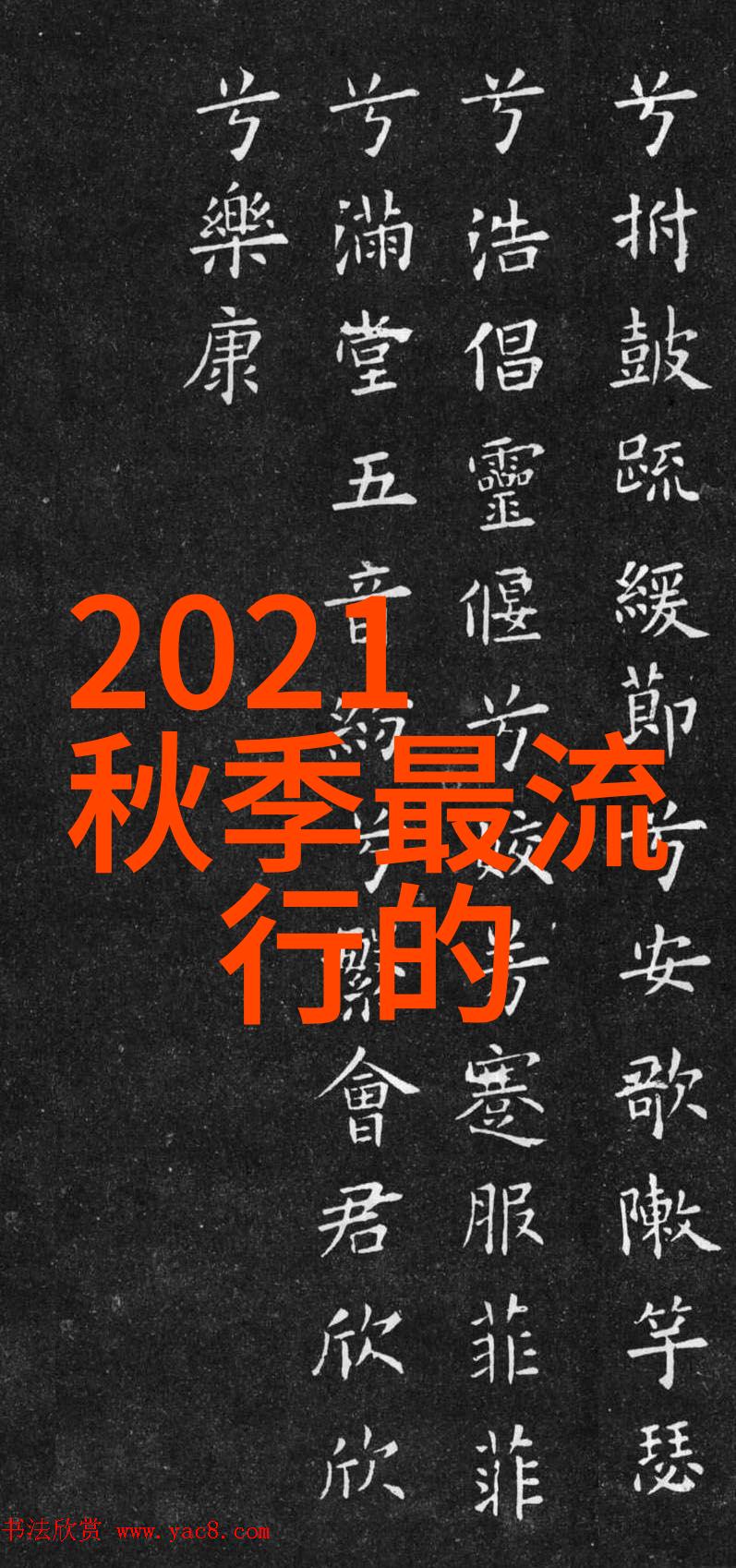 未来是多元化今天就做个变化者对比不同类型女性在简约风格中的表现