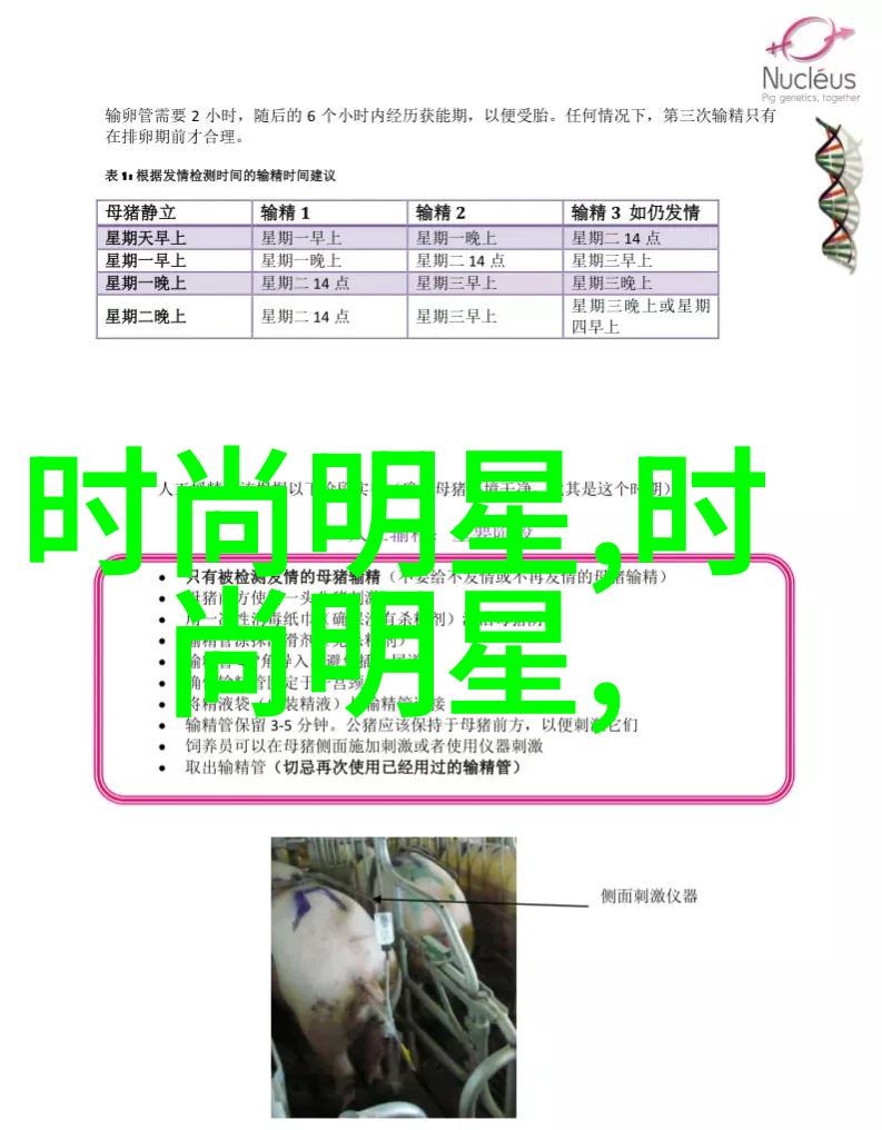 如果你能回到过去重做人生选择的时间是48小时之前吗