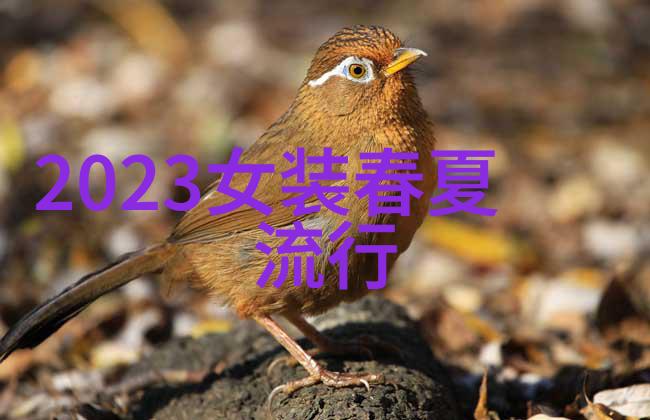 2023年男士发型新趋势简约时尚与个性化设计并存