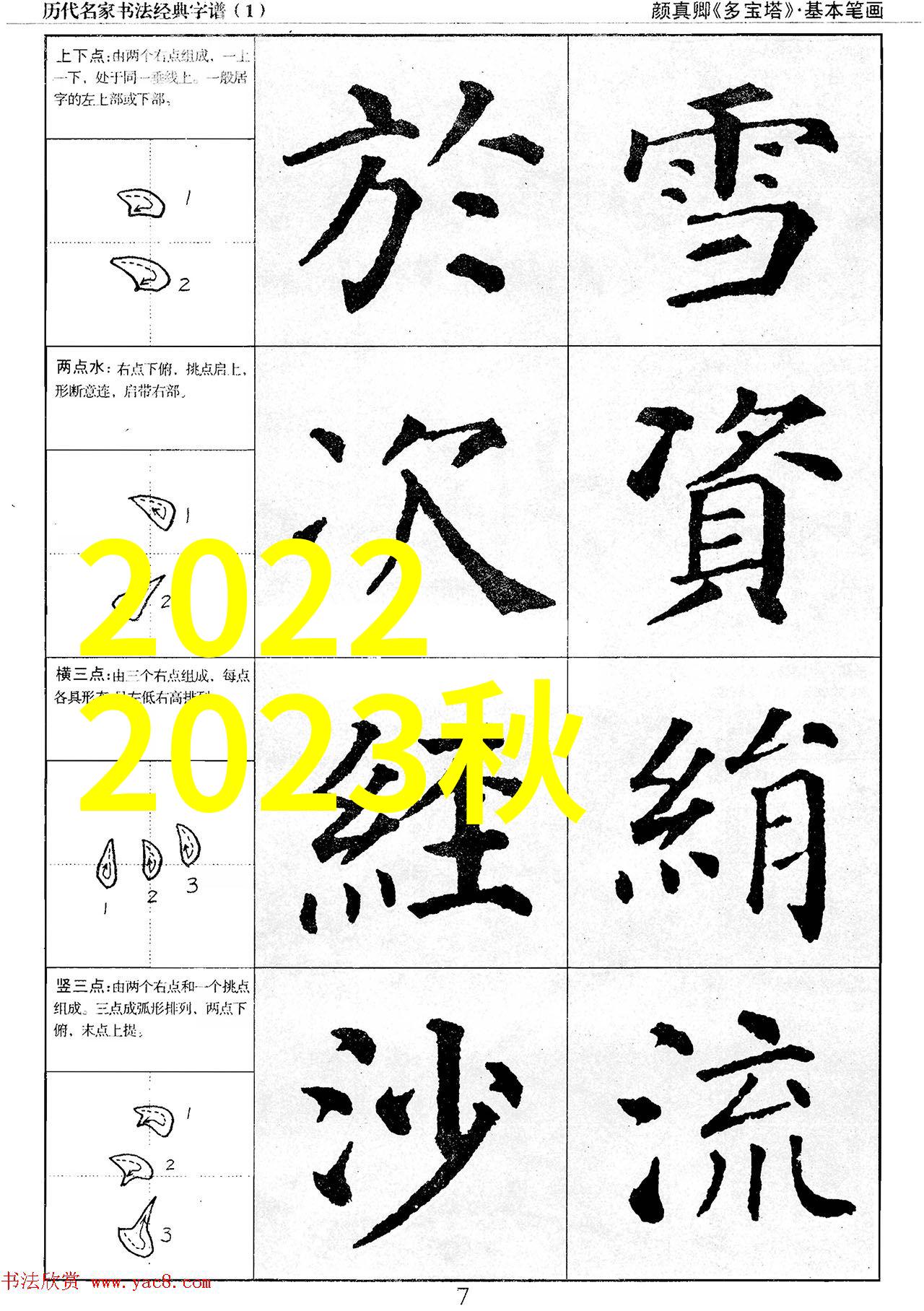 数字背后的秘密解码身份号019的神秘故事