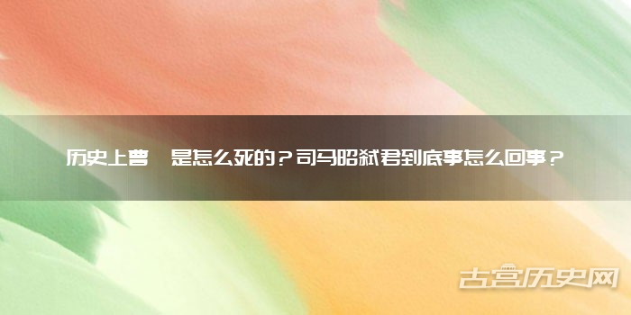 夏日风采2021年流行发型的魅力与艺术