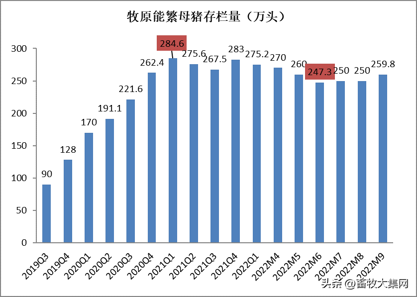 秋日佳音绽放时尚的女儿节套装篇