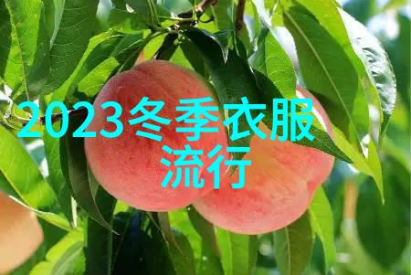 2021年流行的眼影颜色从明亮到深沉的色彩盛宴