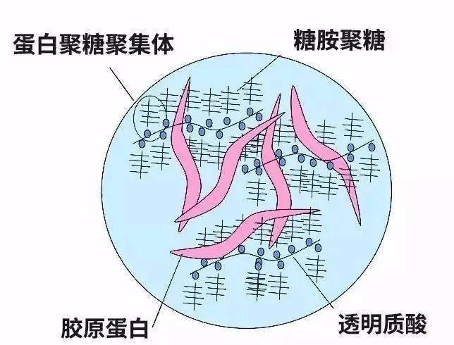 最时尚发型图片女我眼中的时尚宝藏那些让人一目了然的发型图