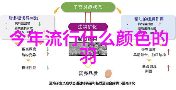 40 50岁女人发型短发圆脸 - 时尚探索适合圆脸的短发造型