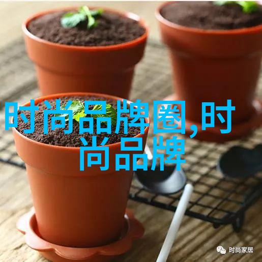 榴莲app福引导大全 - 揭秘榴莲app福运指南如何用正确的方法提升运势