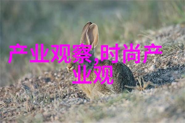 2022年夏季发型流行趋势分析剖析时尚界的创新与传统元素的融合