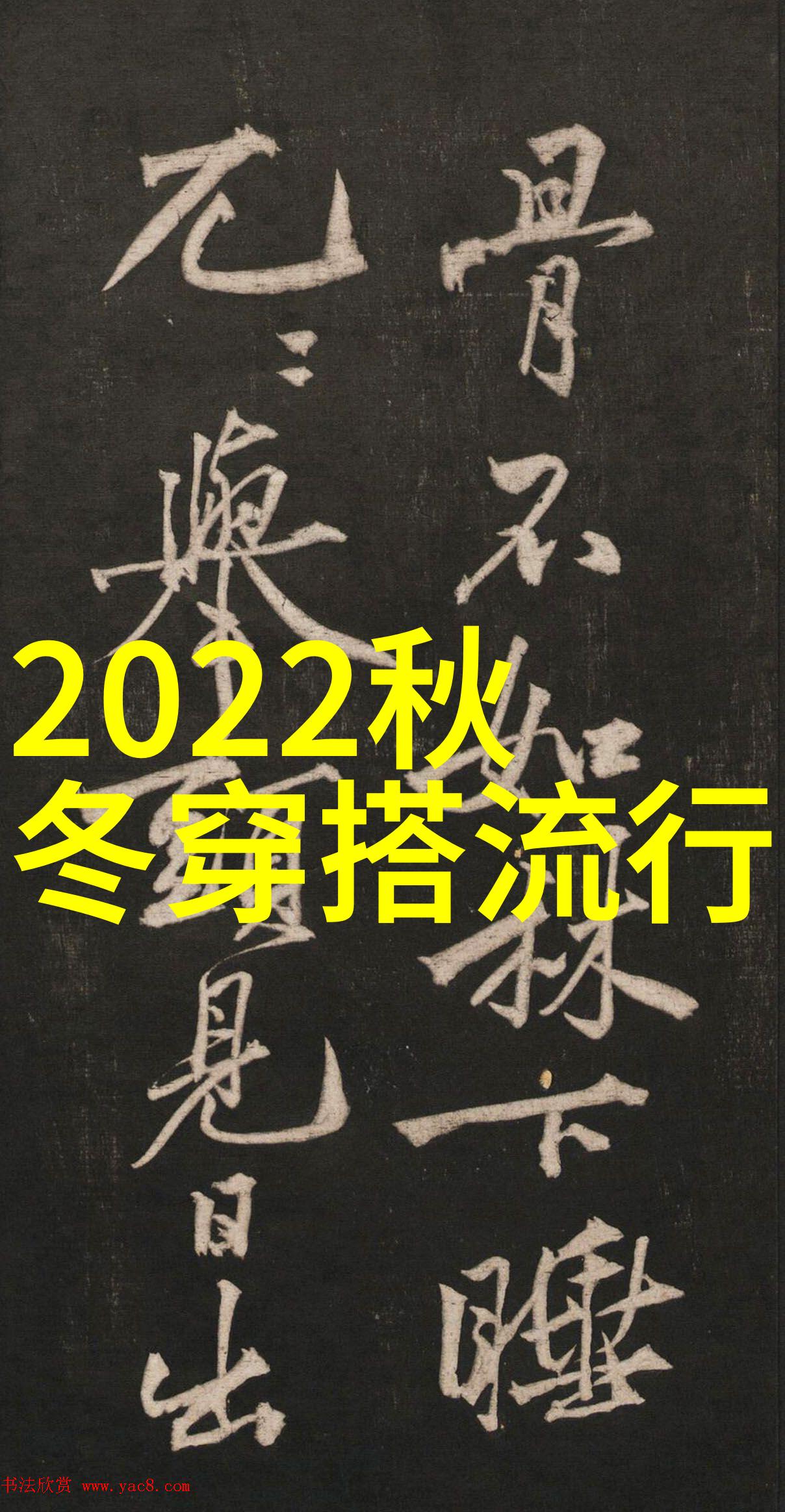 穿越灵域的旅途解锁神秘力量的奥秘