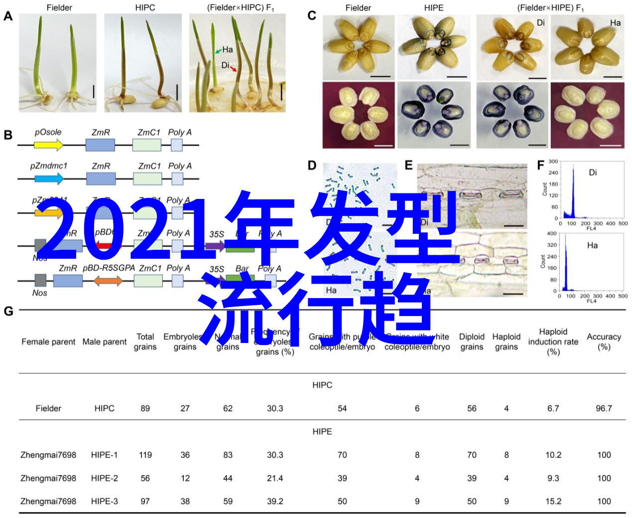 逆时光的探索揭秘数字世界中的隐藏代码