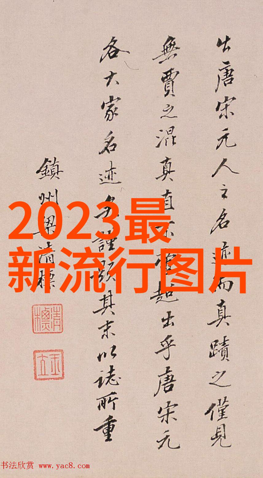 时尚界的新宠2023年流行的短发造型