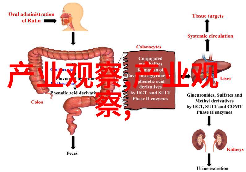 时尚穿搭指南打造完美的每一天