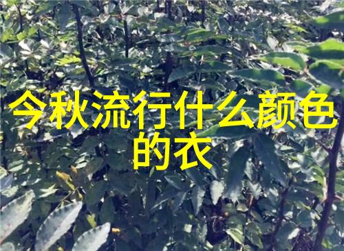 男生时尚指南如何运用穿搭软件提升个人魅力