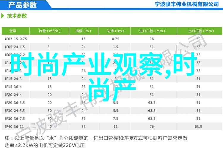 副手背后的守护者