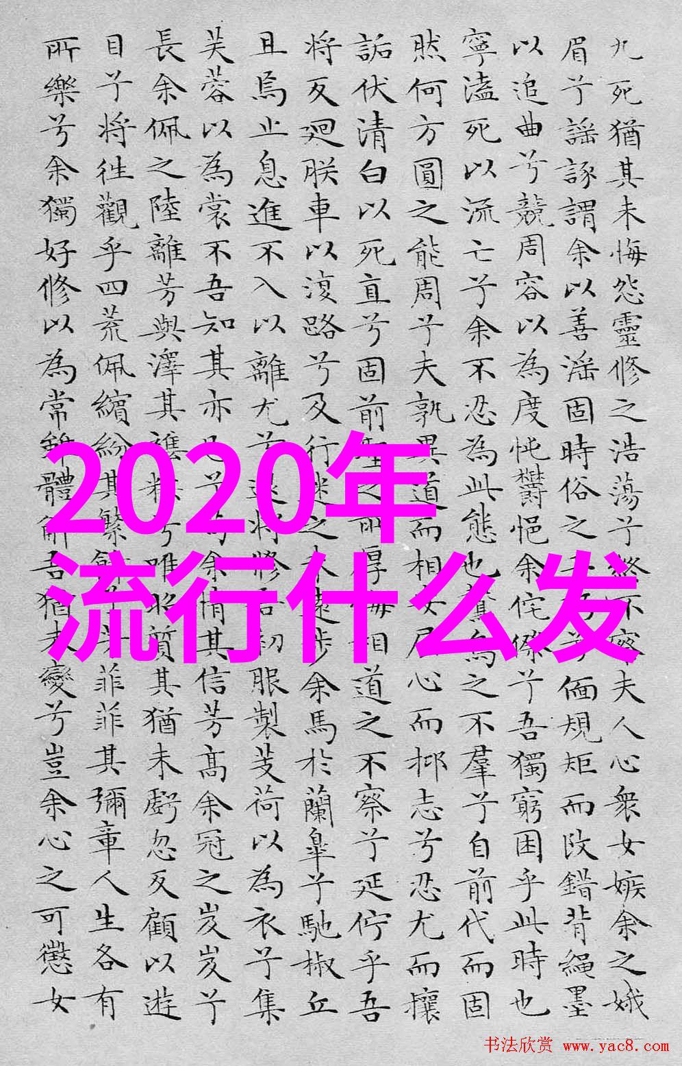 视频内容策划从69个主题到14种格式探索一至十八岁青少年的视听需求