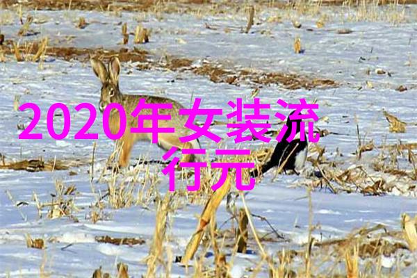 40岁女人最佳短发发型我来教你怎么打造完美的小丸子头