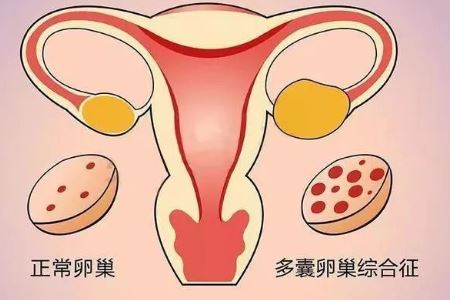 国产又黄又猛又粗又爽的A片我的三体官方授权模型桌游震撼来袭